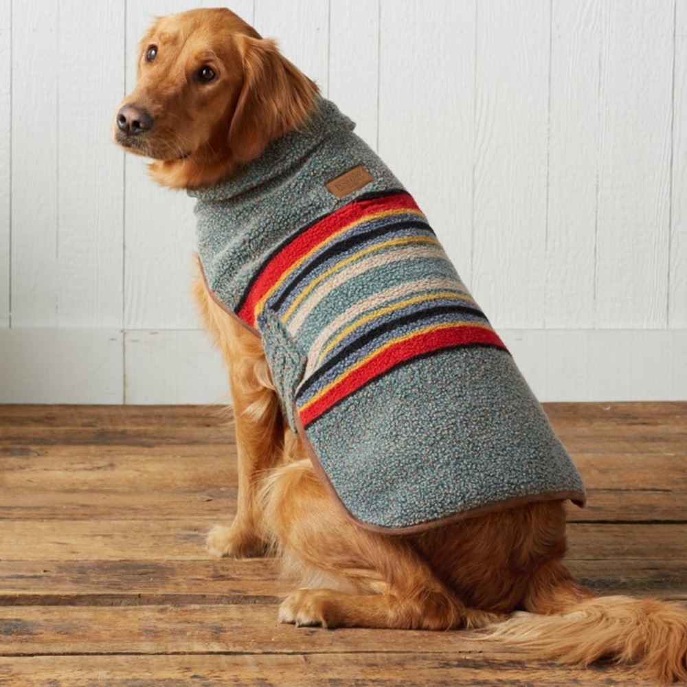 Pendleton Dog Coat with Stripes - Blue, Red, Yellow, Cream